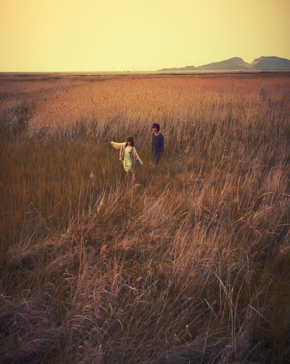 Мальчик-оборотень (2012)