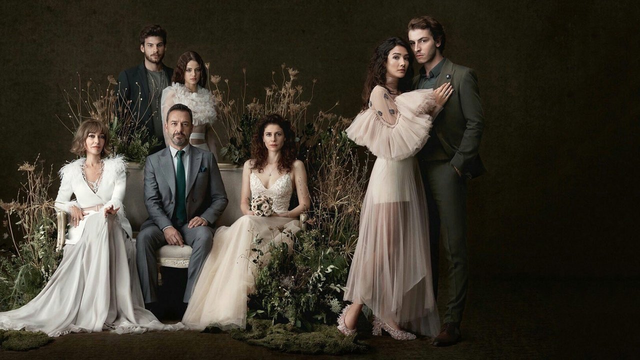 Соколиный холм (2018)