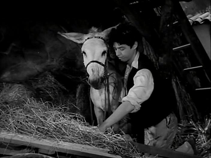 Кадры из Хозяйка гостиницы (1956)