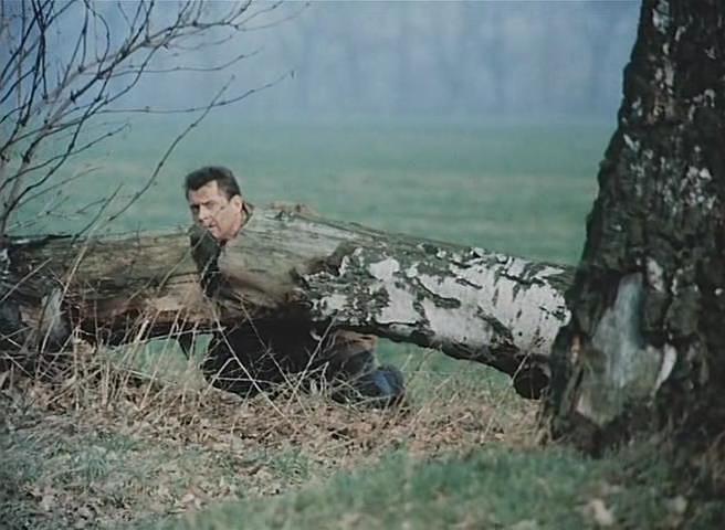 Кадры из Архив смерти (1980)