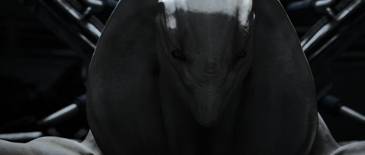 Кадры из Ра (2013)