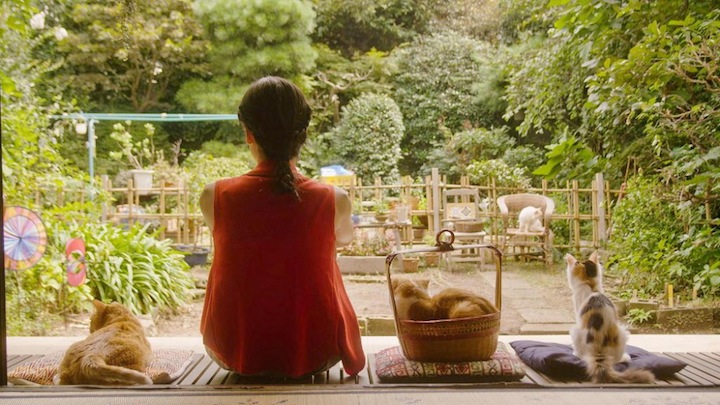 Кошка напрокат (2012)