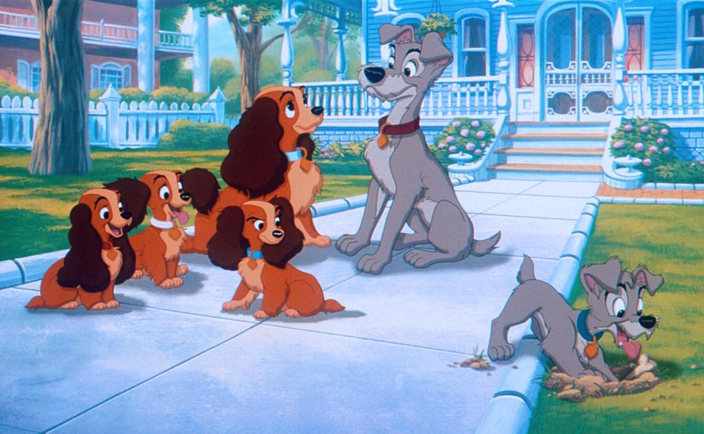 Кадры из Леди и бродяга 2: Приключения Шалуна (2001)