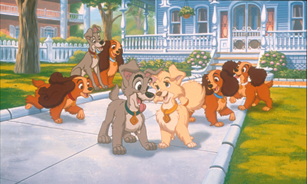 Кадры из Леди и бродяга 2: Приключения Шалуна (2001)