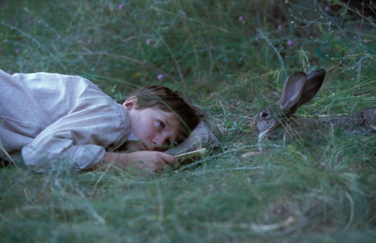 Кадры из Меня зовут Дэвид (2003)