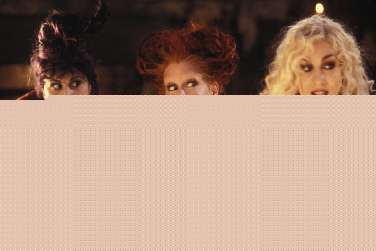 Фокус-покус (1993)