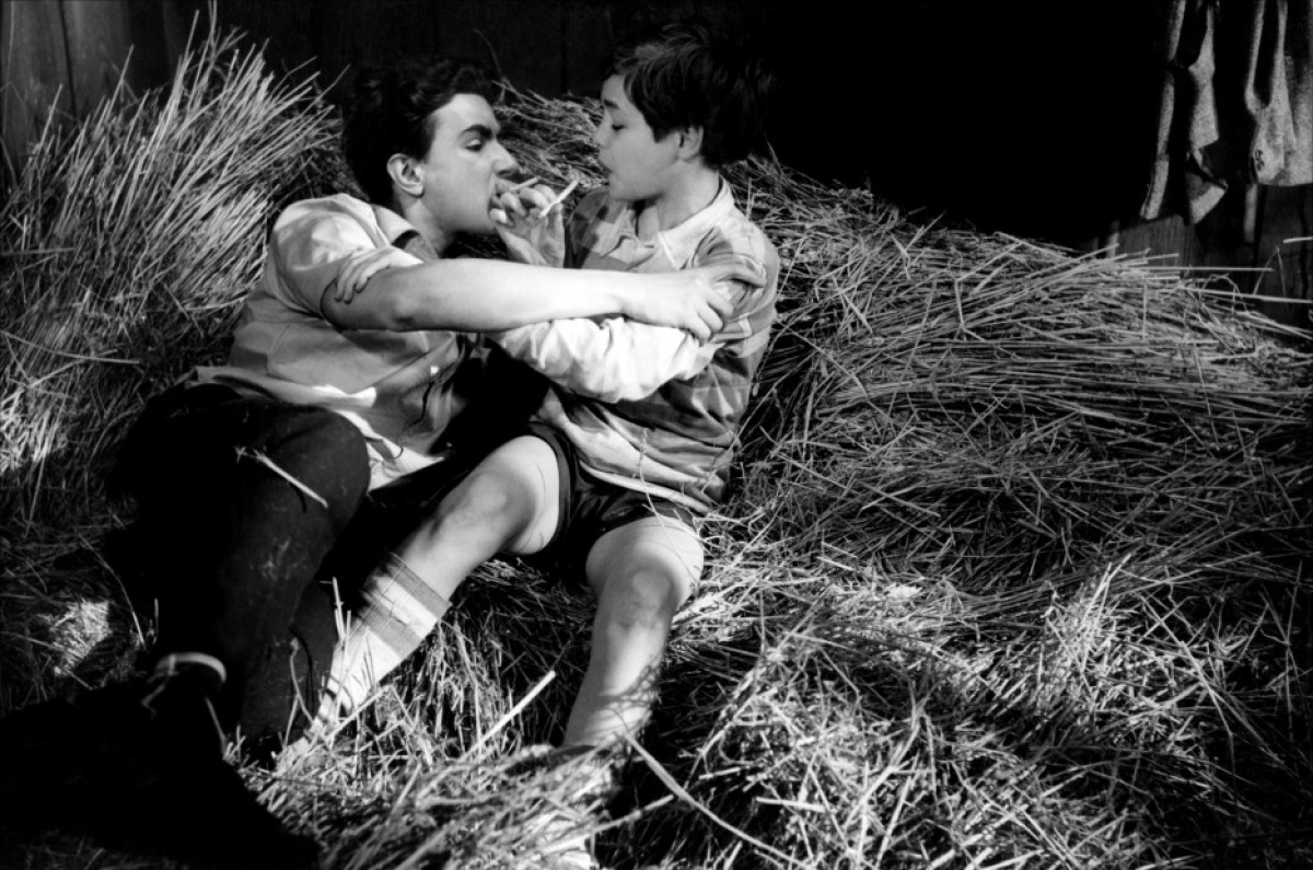 Кадры из Странная дружба (1964)