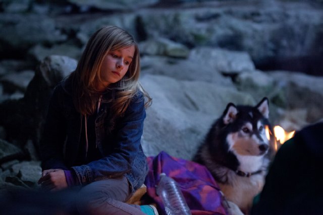 Кадры из Против природы (2013)