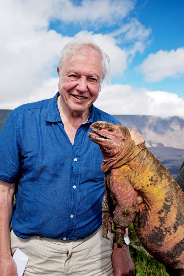 Кадры из Галапагосы с Дэвидом Аттенборо (2013)