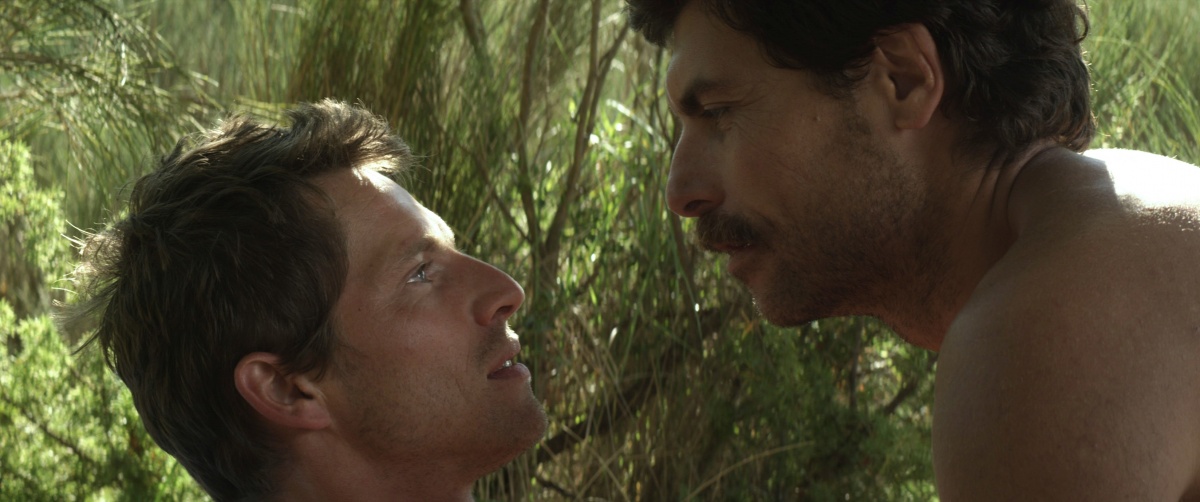 Незнакомец у озера (2013)