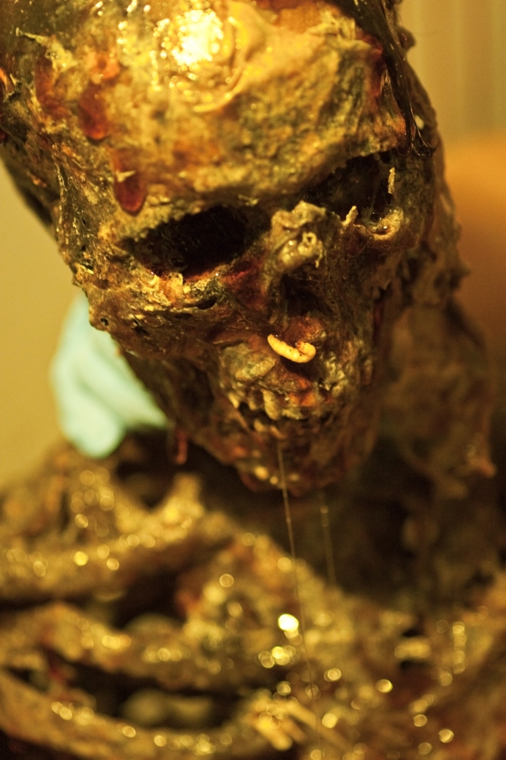 Кадры из Танатоморфоз (2012)