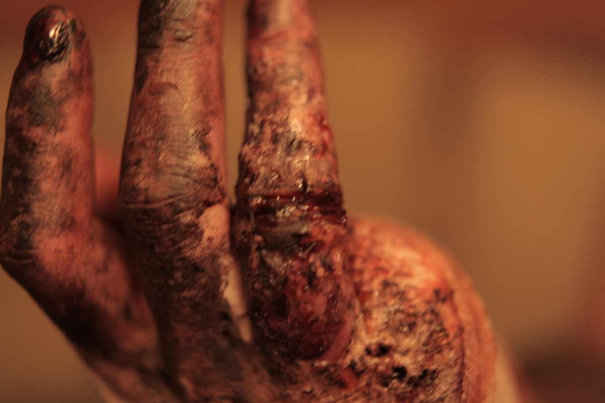 Кадры из Танатоморфоз (2012)