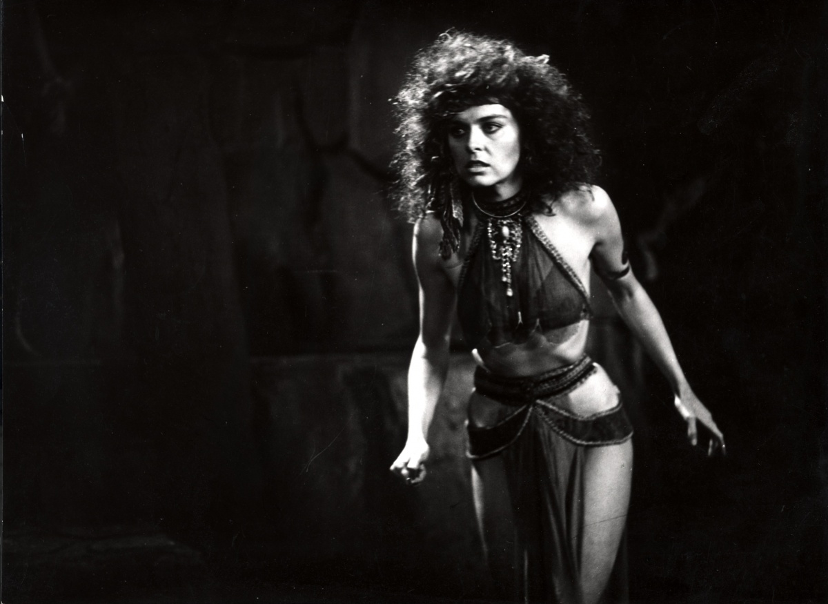 Кадры из Королева варваров (1985)