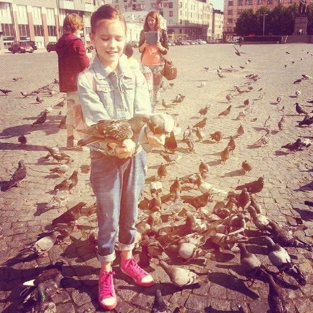 Кадры из Клад (2017)