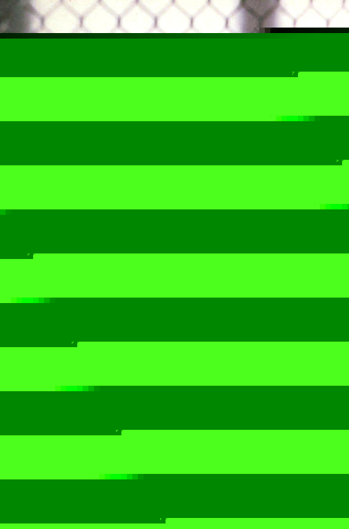 Кадры из Кровавый спорт 4: Цвет тьмы (1999)