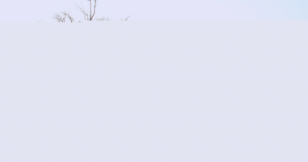 Кадры из Последняя ночь (2015)