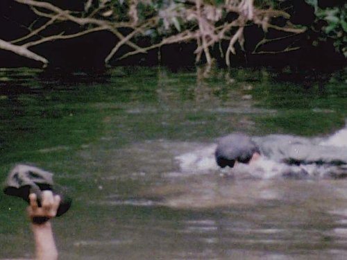 Затерянные хроники вьетнамской войны (2011)