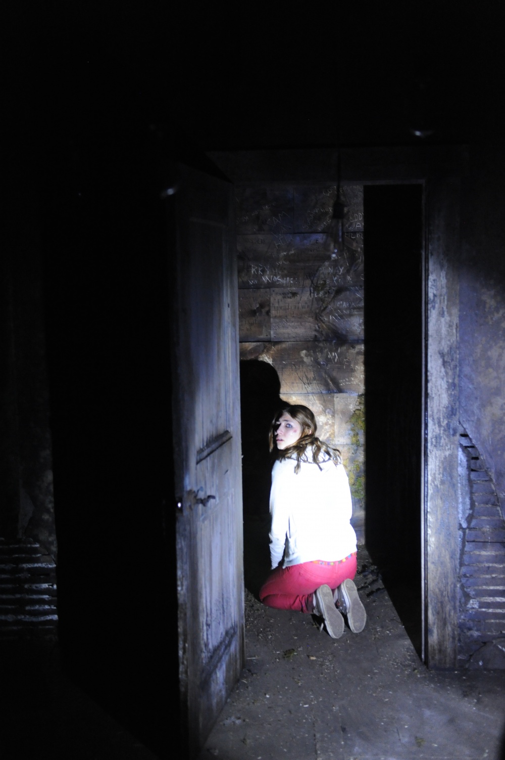 Кадры из Ночной огонёк (2015)