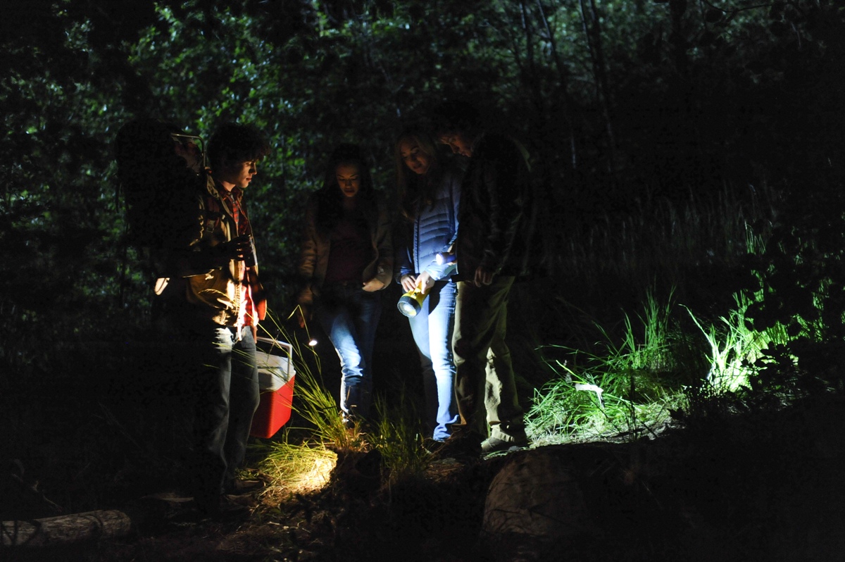 Кадры из Ночной огонёк (2015)