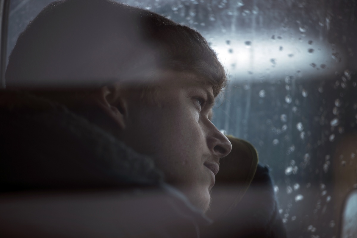 Кадры из Влюбленные и медведь (2016)