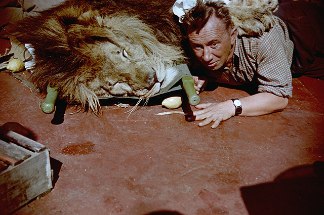 Кадры из Полосатый рейс (1961)