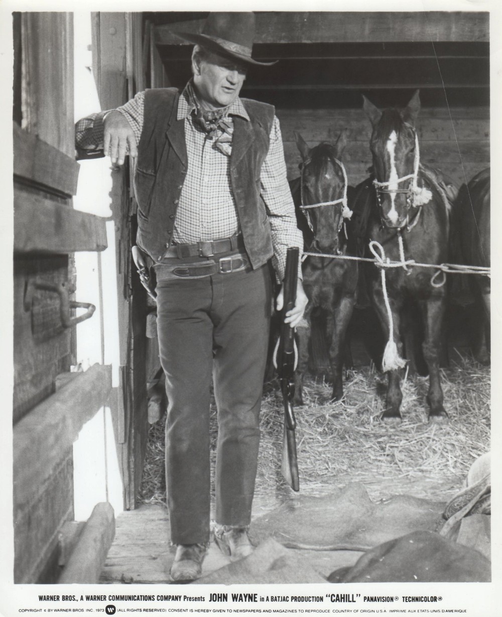 Жестяная звезда (1973)