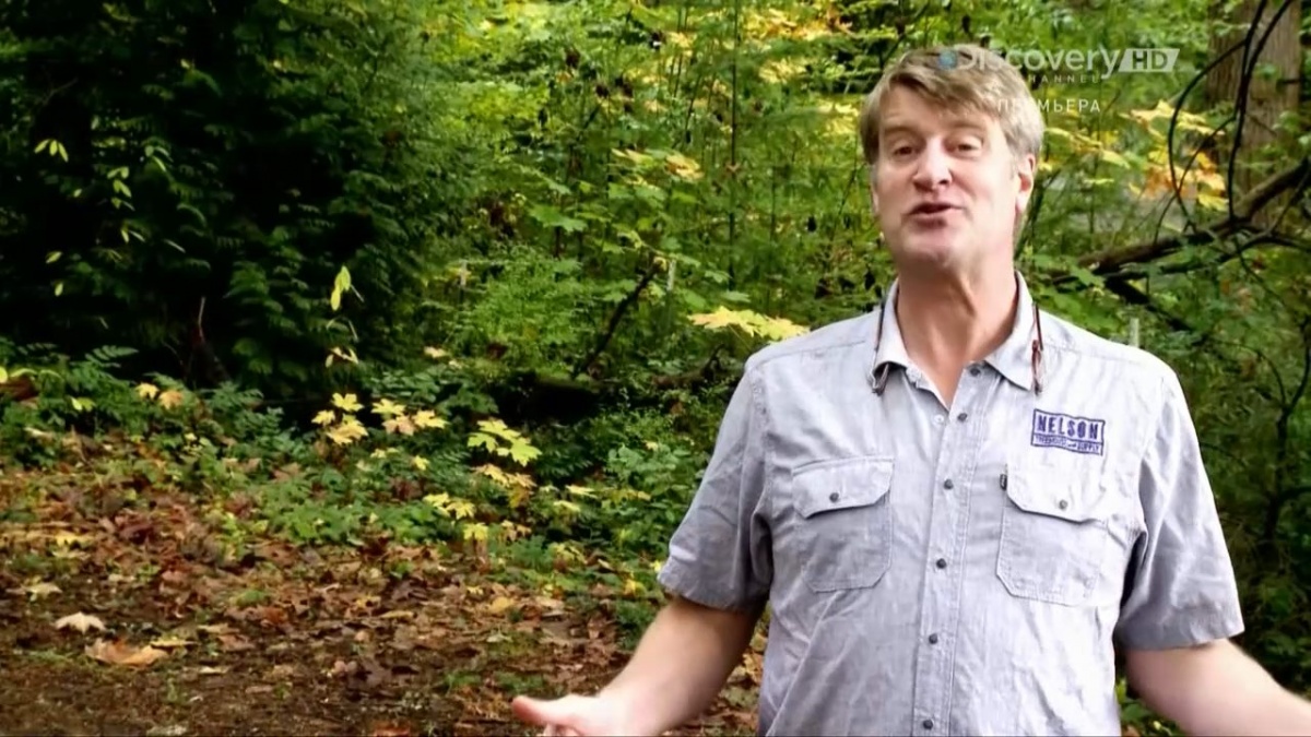 Дома на деревьях (2013) Дома на деревьях (2013)