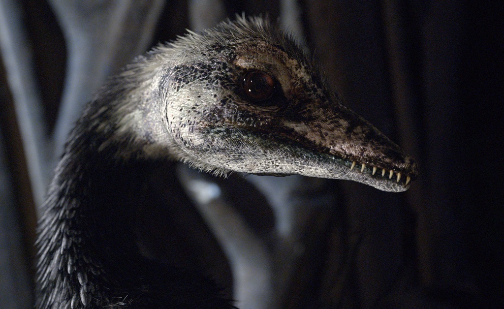 Музей естественной истории с Дэвидом Аттенборо (2014) Музей естественной истории с Дэвидом Аттенборо (2014)