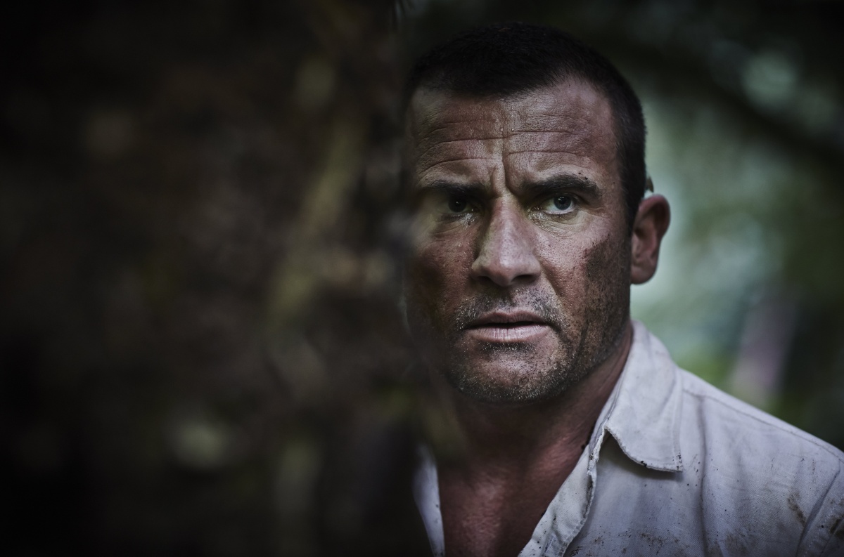 Охота на индюшек (2014)