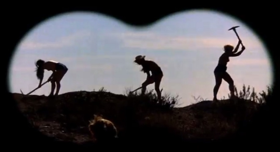 Кадры из Садомания (1981)