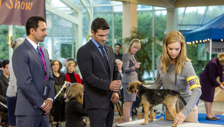 Кадры из Гордость и предубеждение и собаки (2016)