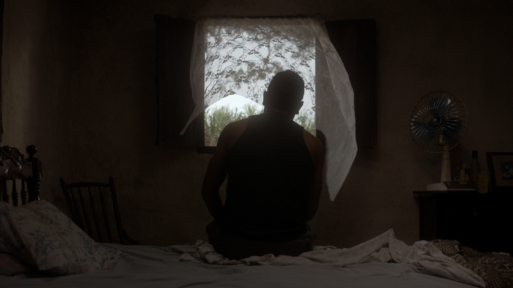 Кадры из Земля и тень (2015)