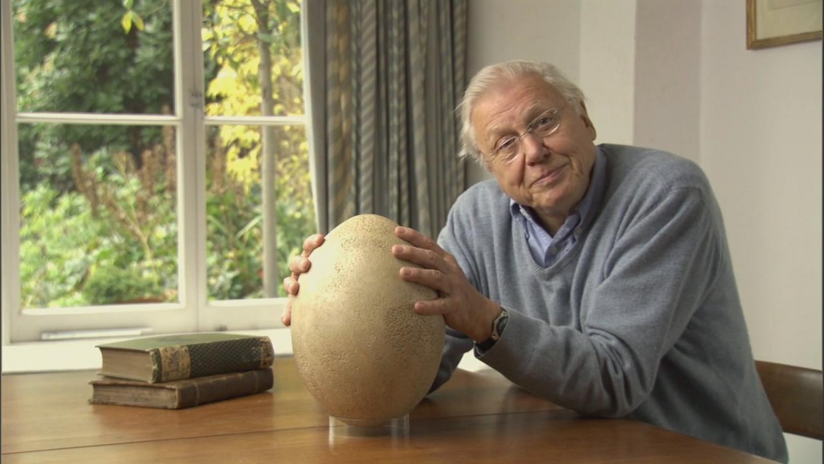 Кадры из BBC: Мадагаскар (2011)