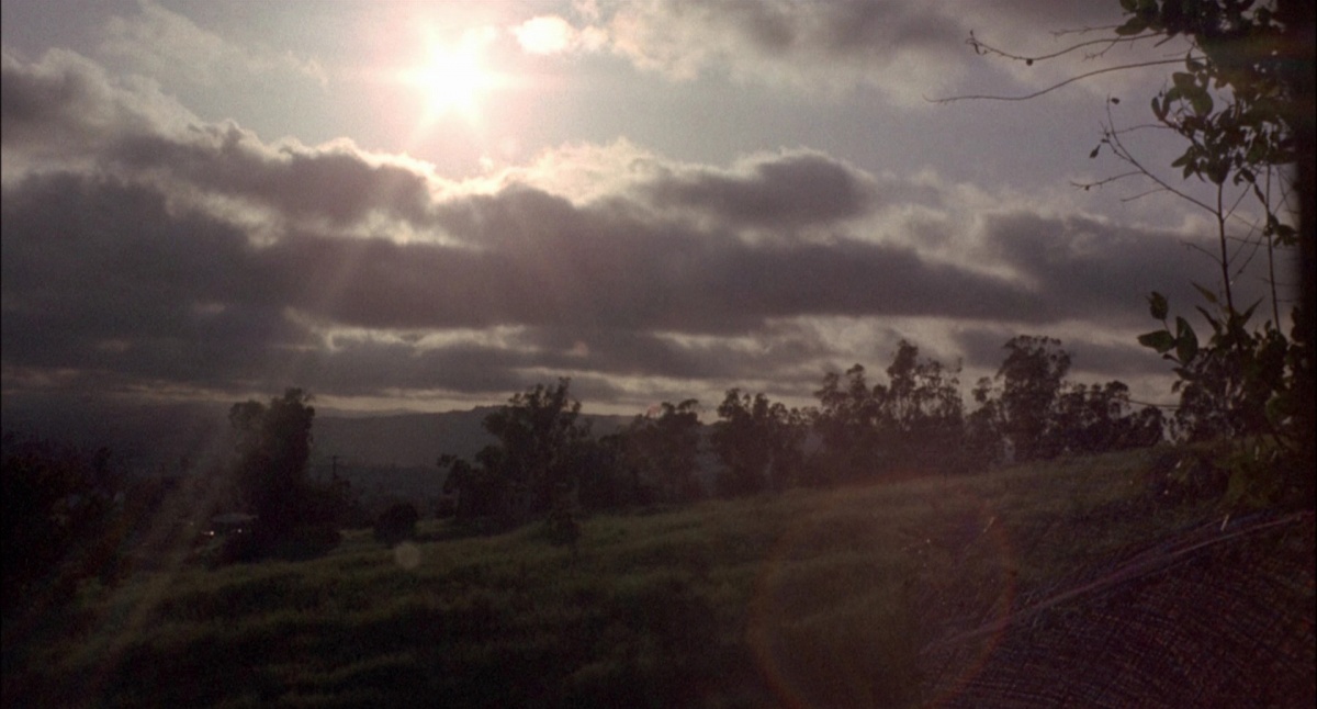 Кадры из Граф Йорга, вампир (1970)