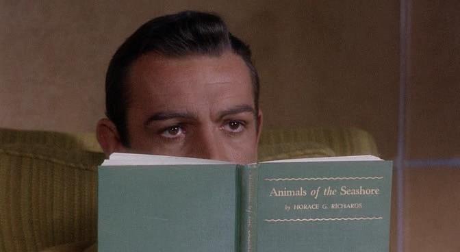 Кадры из Марни (1964)