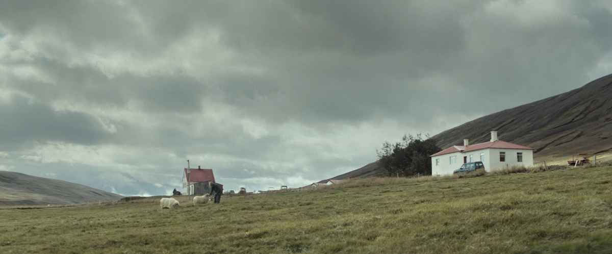 Кадры из Бараны (2015)