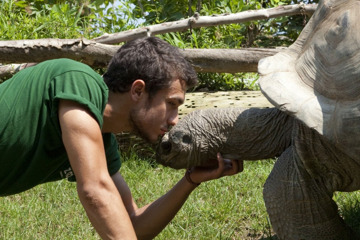 Кадры из Луна над Турином (2013)