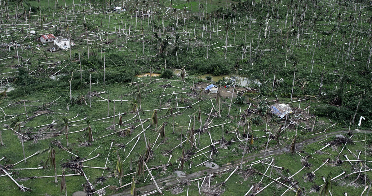 Кадры из Ураган: Одиссея ветра (2015)