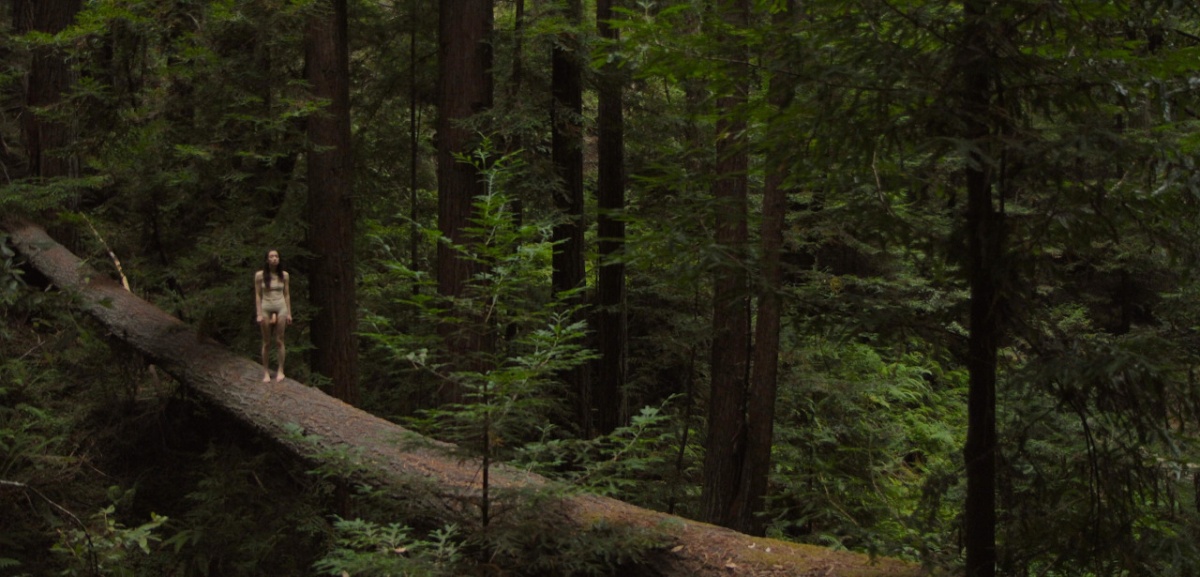 Кадры из Войлок (2014)