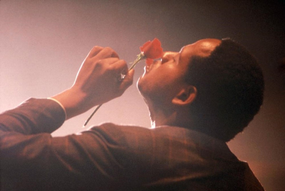 Кадры из Птица (1988)