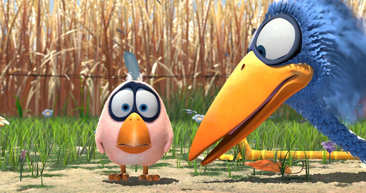 Кадры из О птичках (2000)