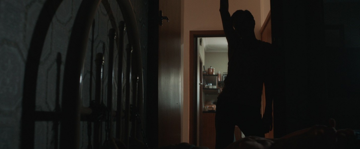 Гончие любви (2016)