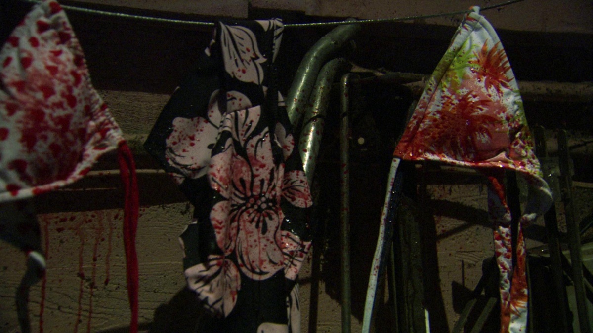 Девочки бикини на льду (2009) Девочки бикини на льду (2009)