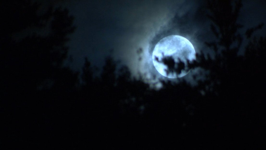 Девочки бикини на льду (2009) Девочки бикини на льду (2009)