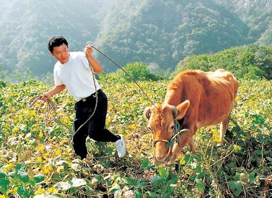 Кадры из Последний волк (2004)