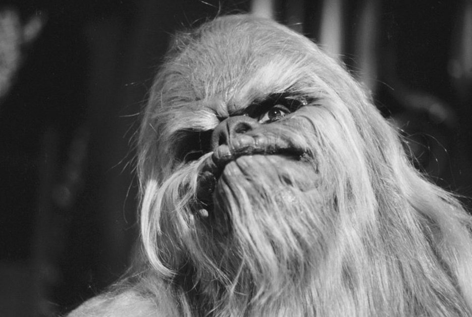 Кадры из Звездные войны: Праздничный спецвыпуск (1978)