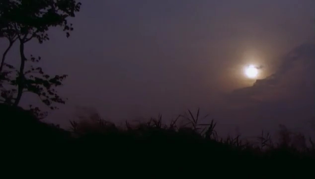 Кадры из Призраки Бангкока (2001)