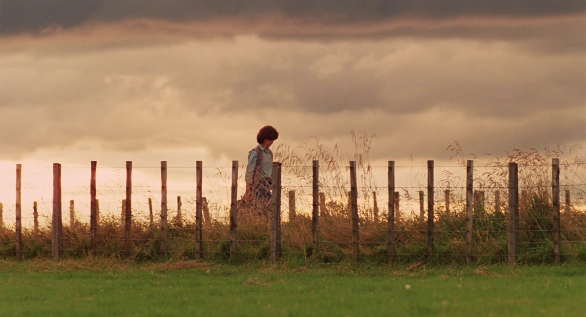 Дворец крушений (1982) Дворец крушений (1982)