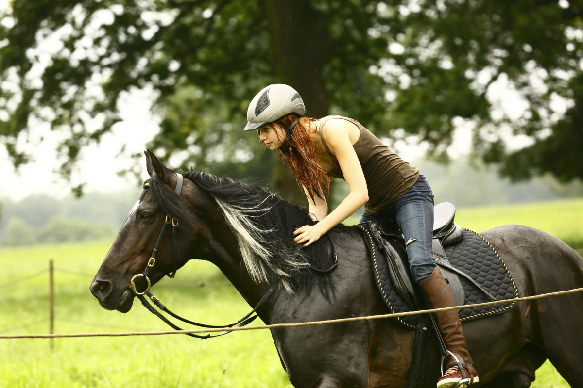 Кадры из Оствинд / Восточный ветер (2013)