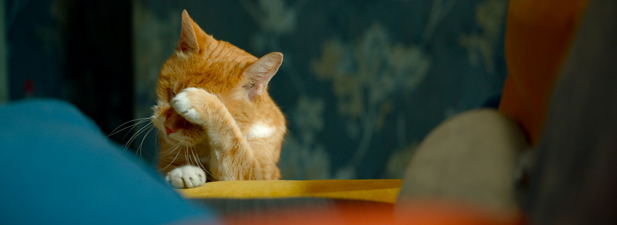 Кадры из Домовой (2019)